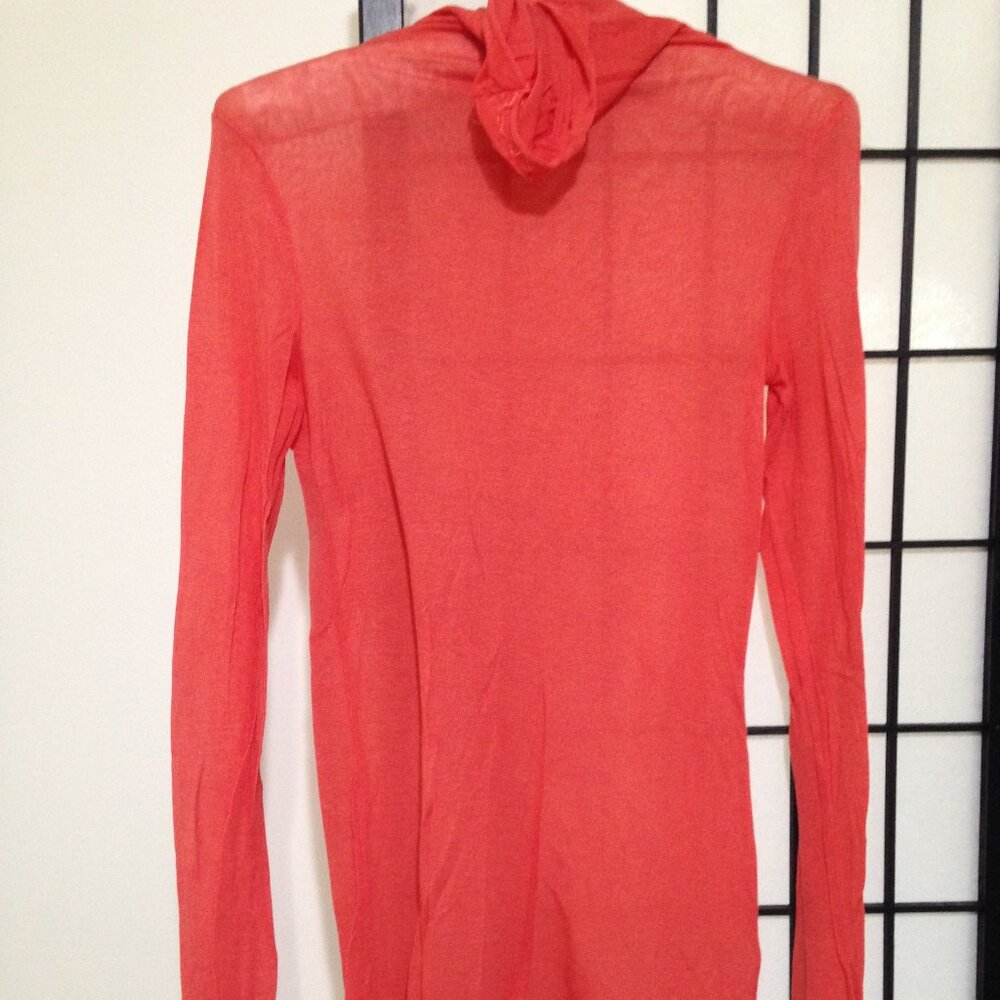 Sheer soft nice stretch turtleneck